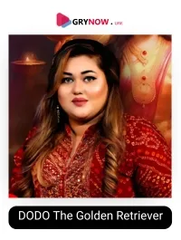 DODO The Golden Retriever